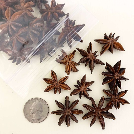 Dried Star Anise for Spice Bouquets and Christmas Crafting ~ 25 piece Bag